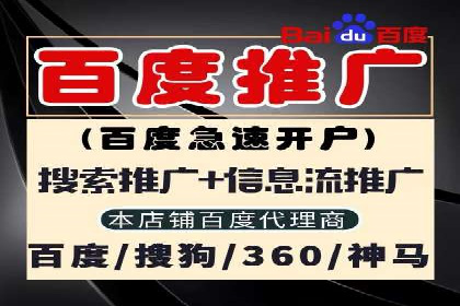 案例解析：竞价代运营如何实现高效广告投放